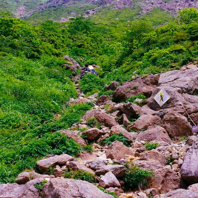 川筋を登る早池峰山登山道の写真