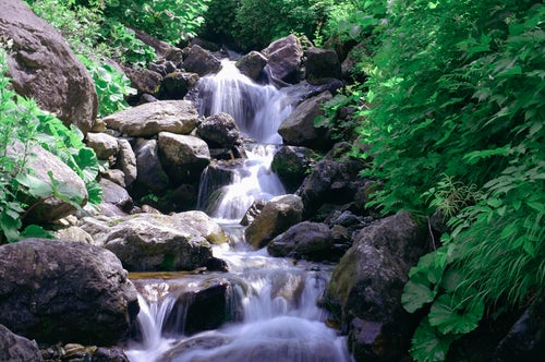 早池峰山を流れる渓流の写真