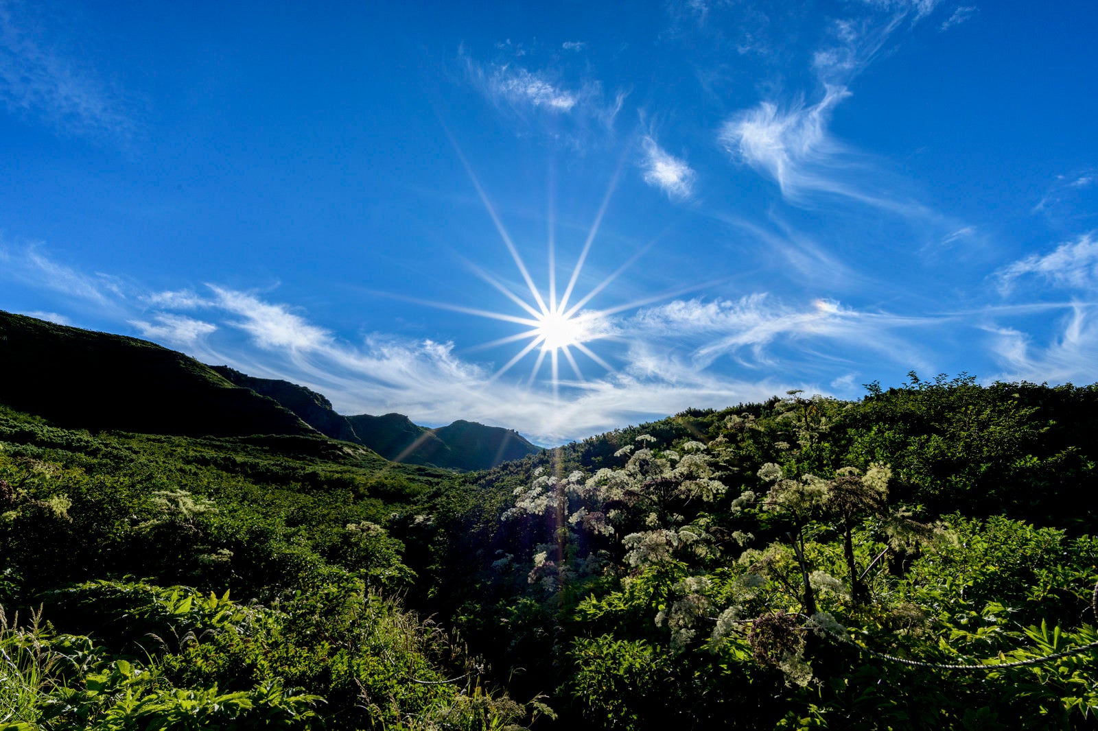 「岩手山不動平と光芒の太陽」の写真