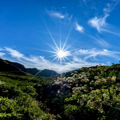 岩手山不動平と光芒の太陽の写真