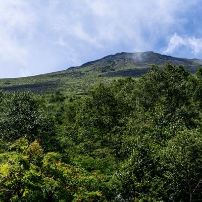 登山道から見上げる岩手山山頂方面の写真