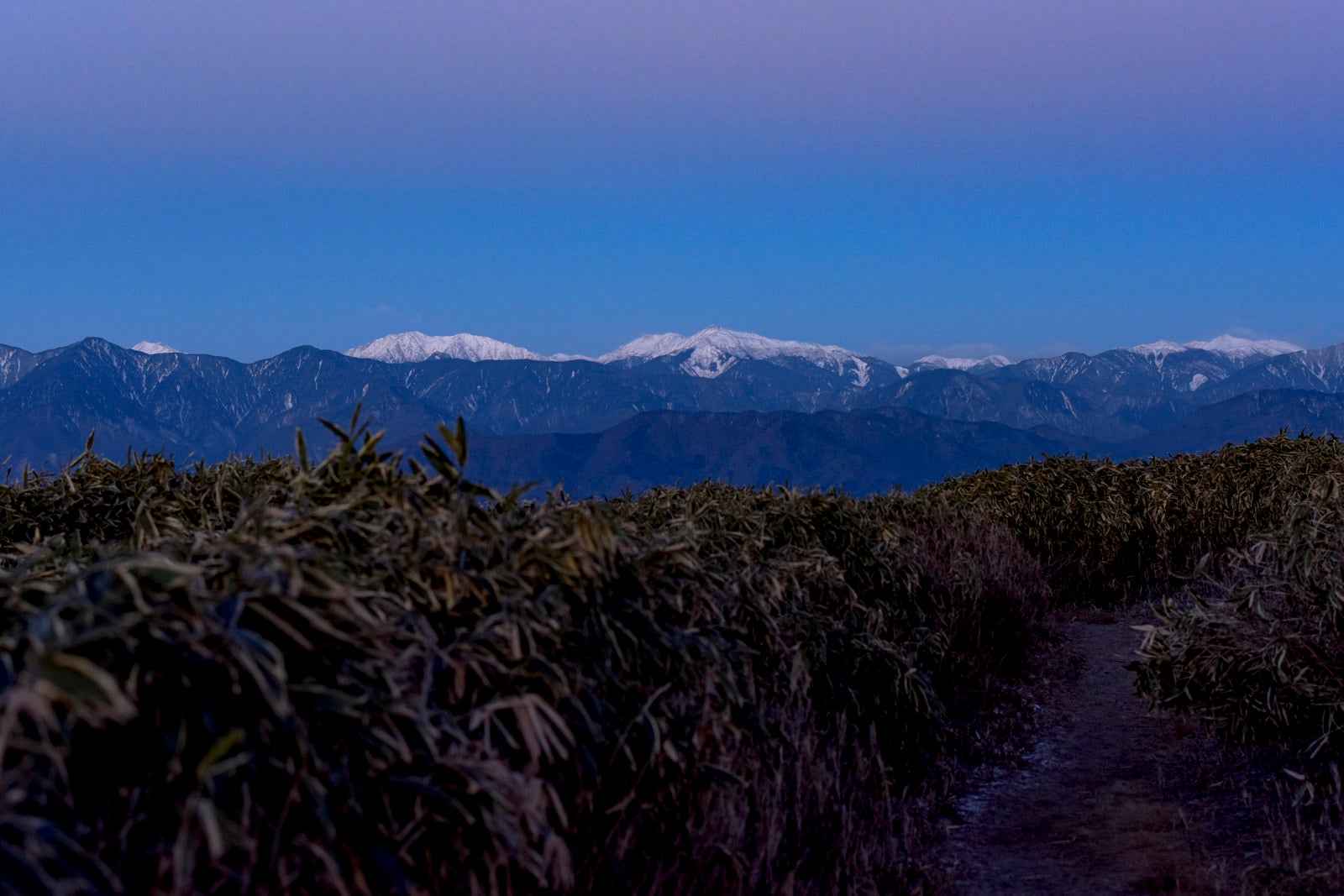 「竜ヶ岳から見る朝の白鳳三山」の写真