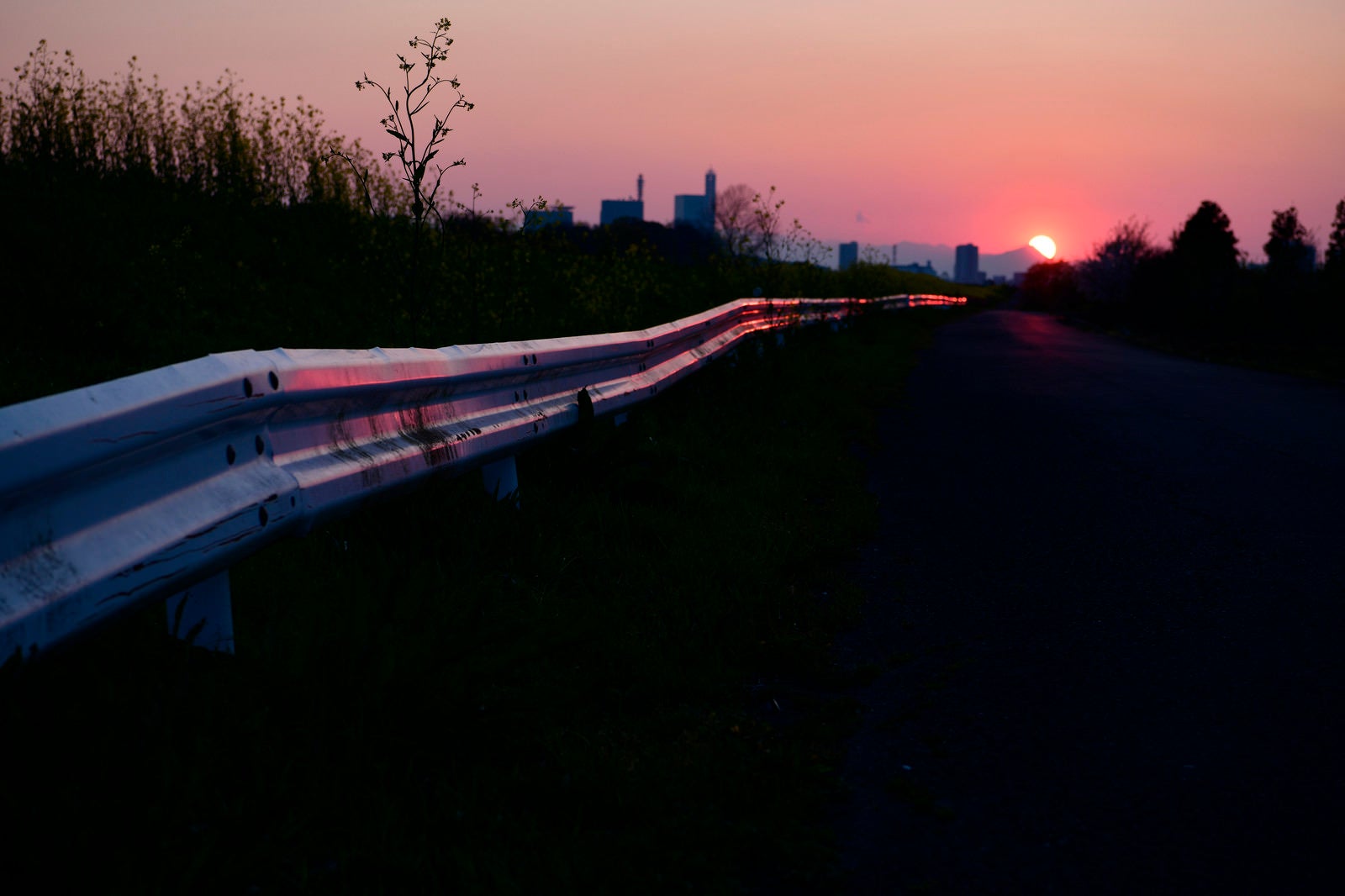 「日没とガードレール」の写真