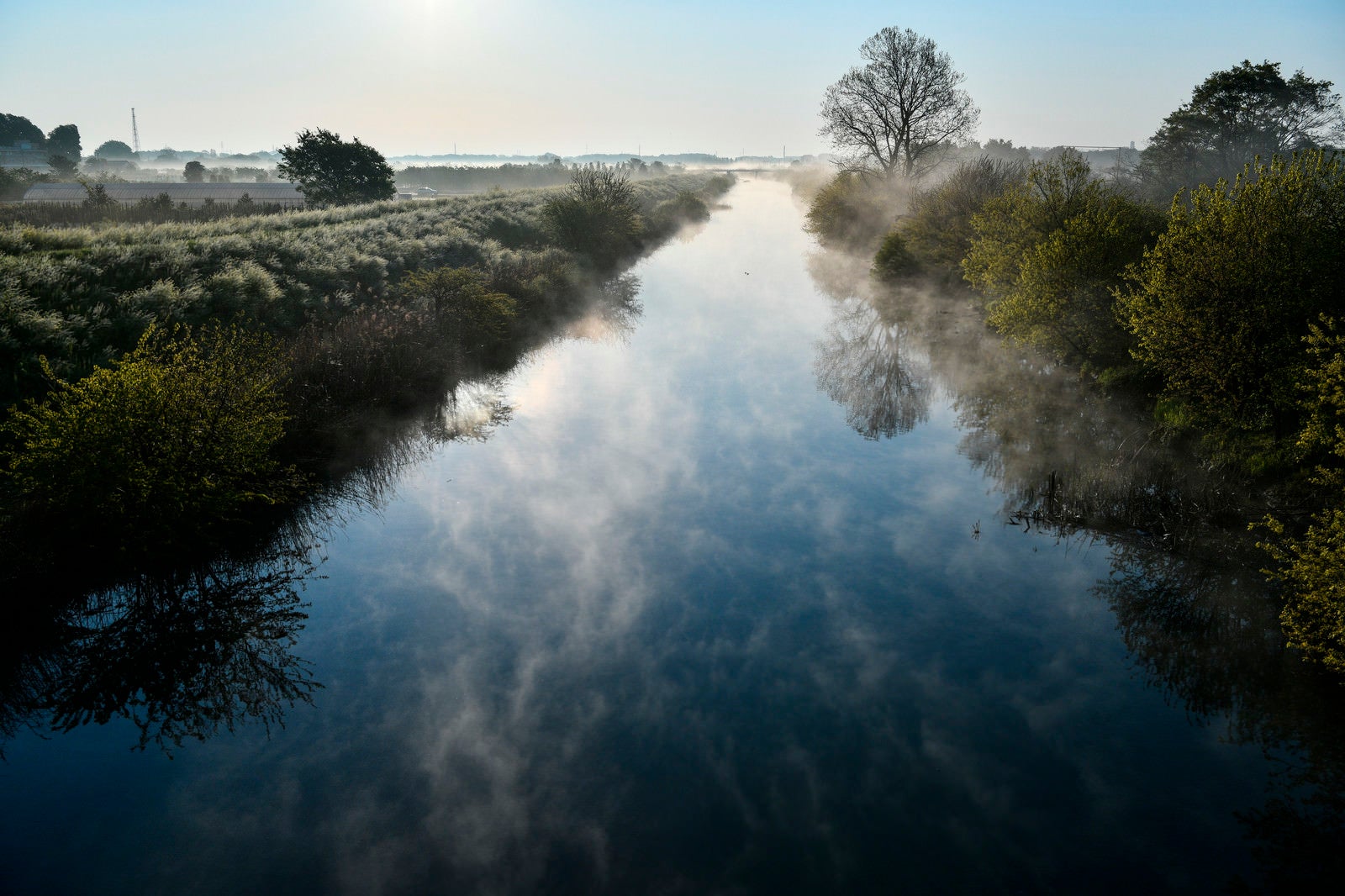 「朝靄が沸き立つ川」の写真