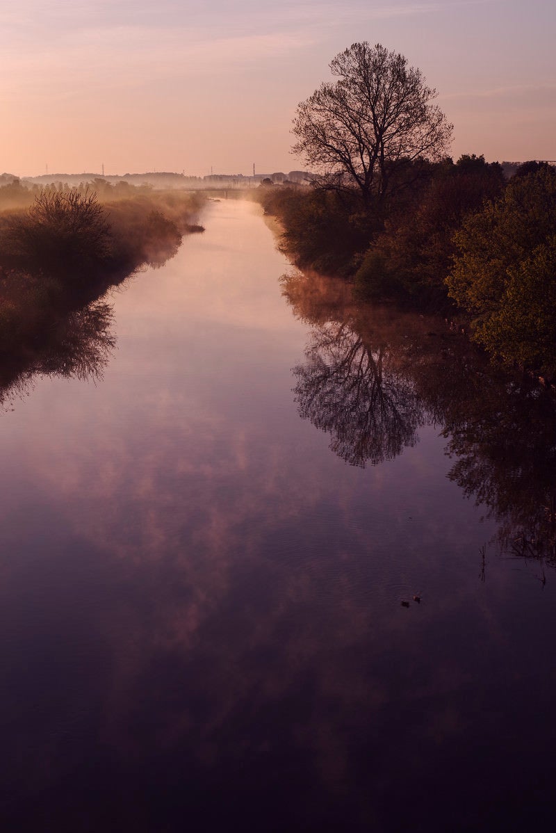 「紫色に染まる朝の川と空」の写真