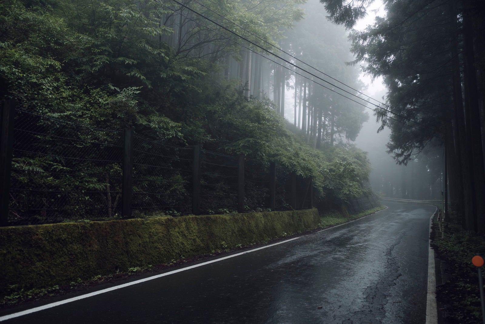 「霧の向こうに続く道」の写真