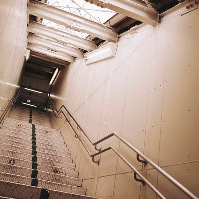 無機質な階段の写真