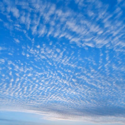 うろこ雲の朝の写真