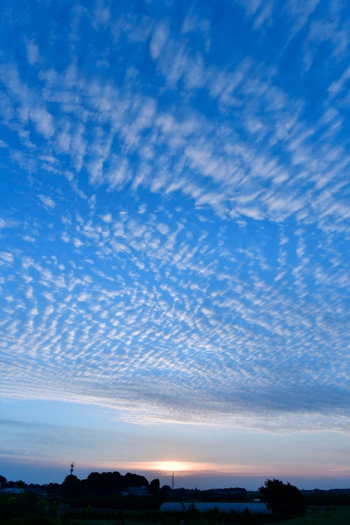 うろこ雲の朝の写真