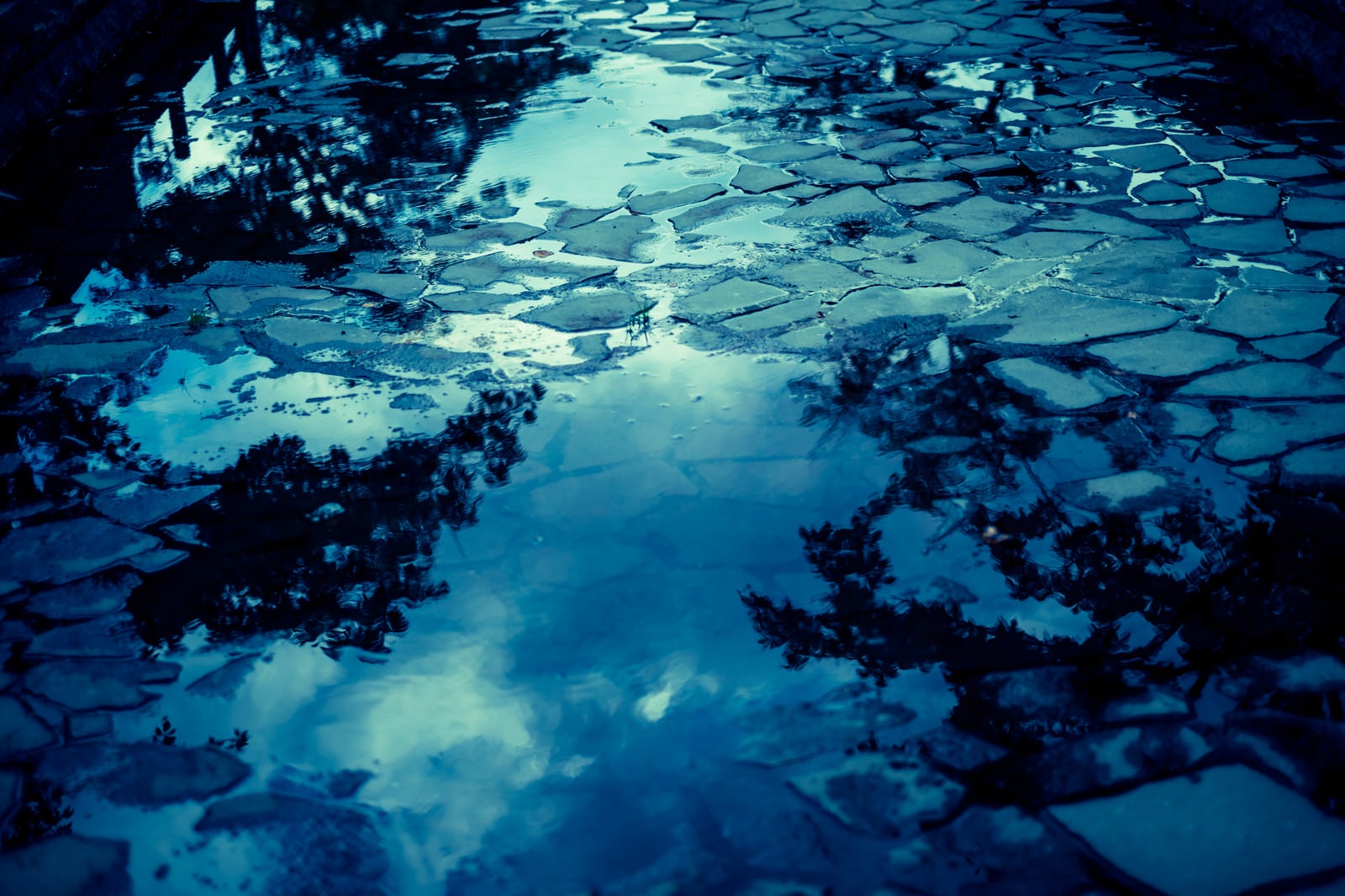 「水溜りと映り込む空」の写真