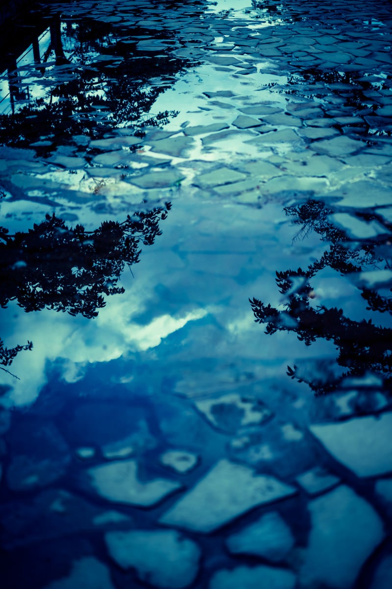 「水溜りに映る空と木」の写真