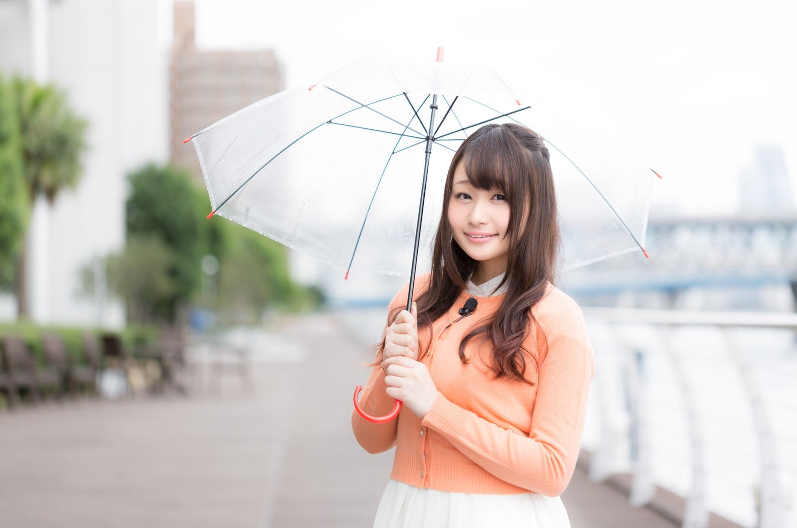 「雨の様子を傘をさして伝える美人キャスター」の写真
