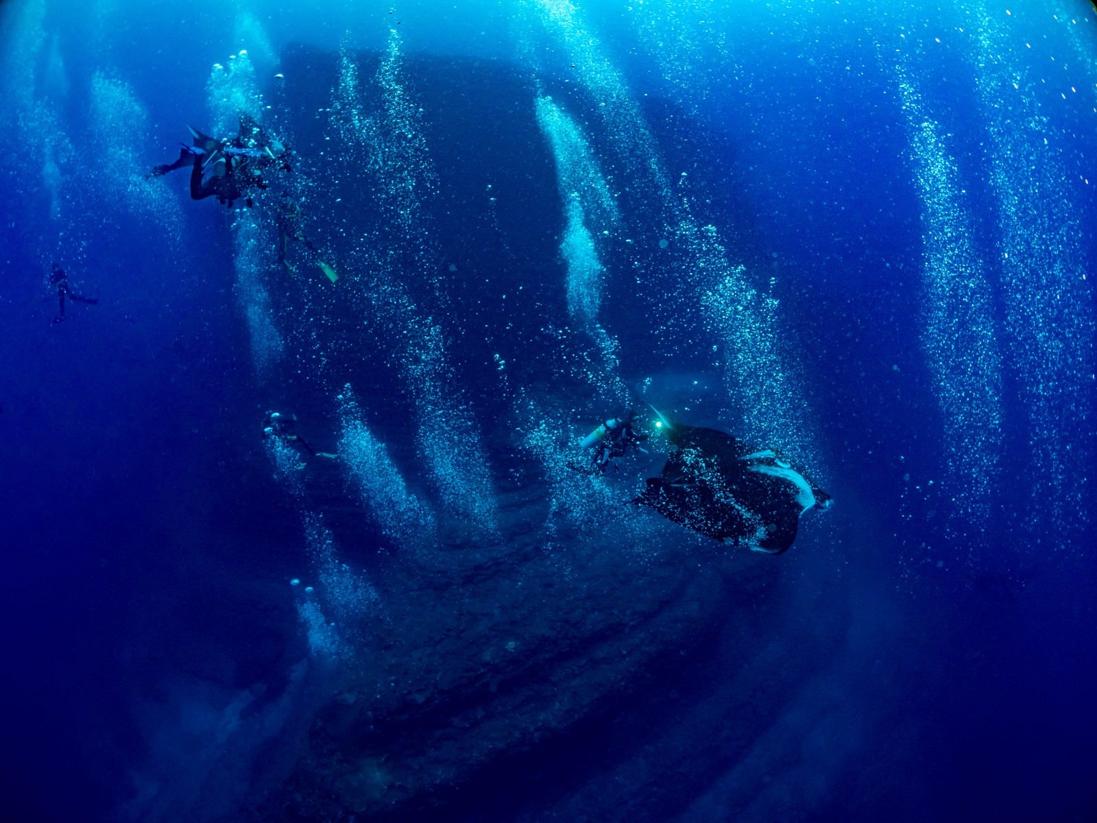 「ダイバーが作る泡の中を滑空するマンタ」の写真