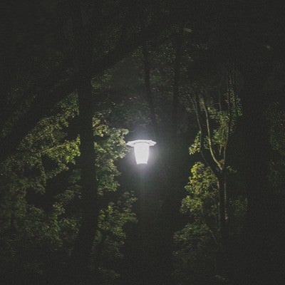 深夜の公園にある街灯の写真