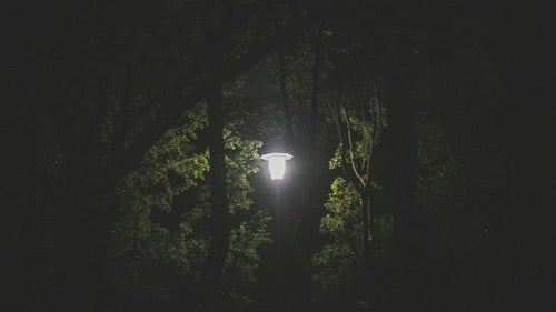 深夜の公園にある街灯の写真