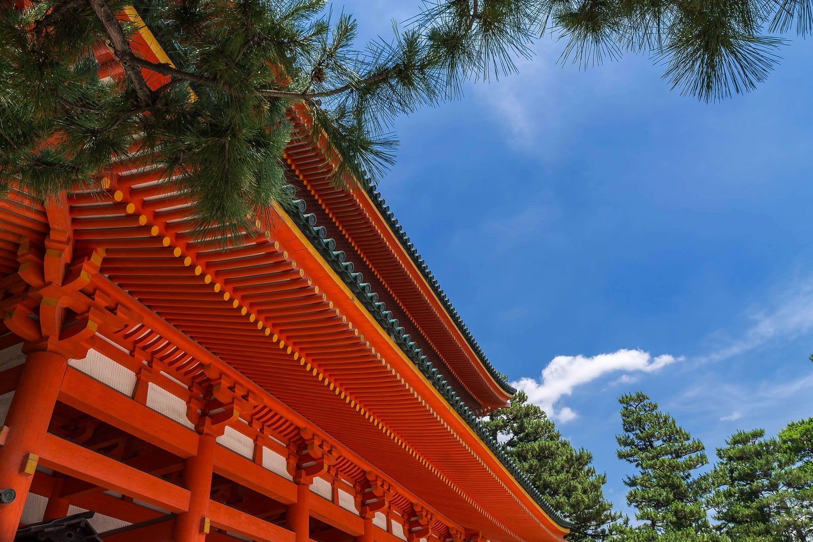 「平安神宮と松」の写真