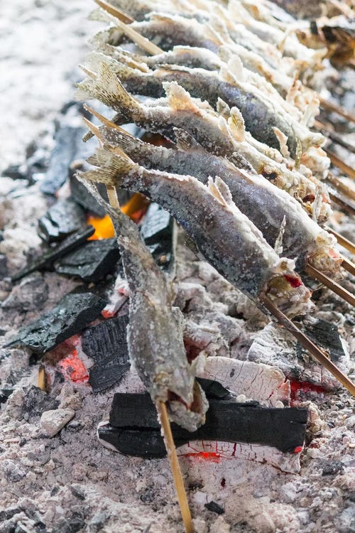 炭火で焼かれるニジマスの写真