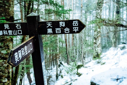 積雪の登山道で見つけた天狗岳の方向を示す道標の写真