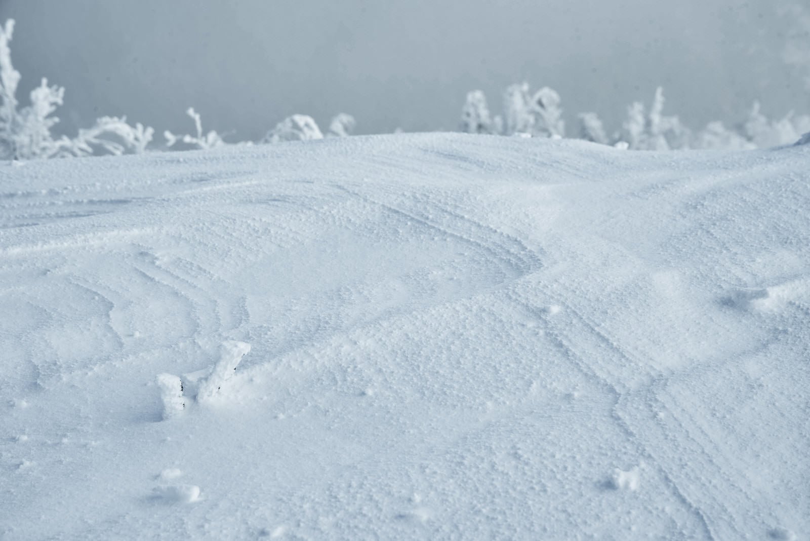 「雪上に出来る波形の紋様（シュカブラ）」の写真