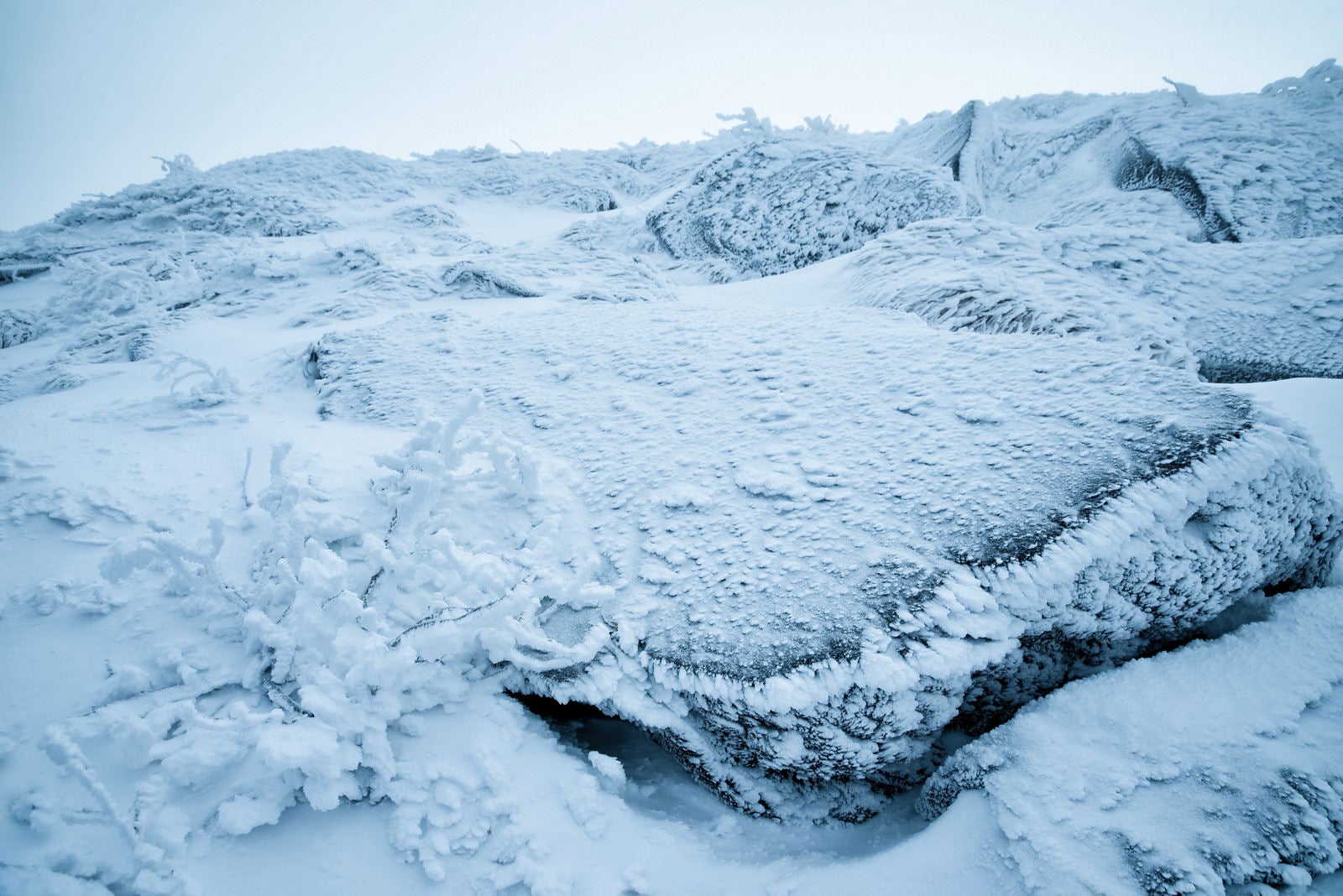 「小さな樹氷と凍りついた岩肌」の写真