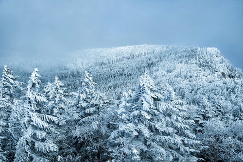 白銀に染まる悪天候の北八ヶ岳の写真