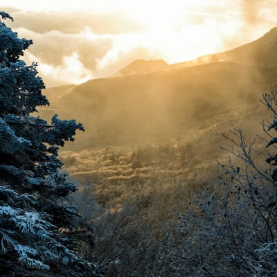 厳冬期の白銀の森と差し込む朝日の写真