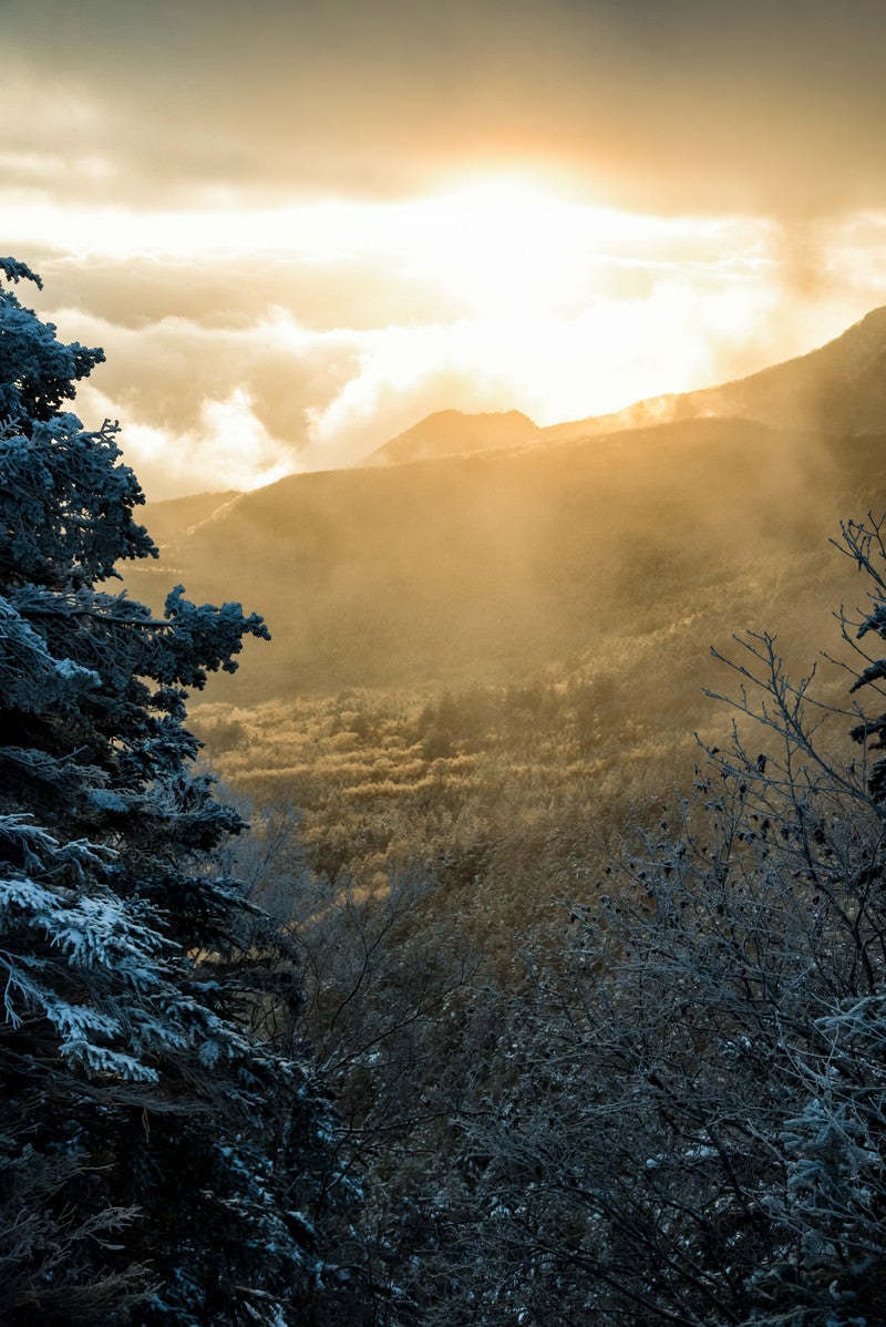 「厳冬期の白銀の森と差し込む朝日」の写真