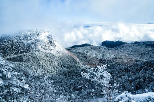 稲子岳の岩壁と北八ヶ岳の森（長野県）の写真