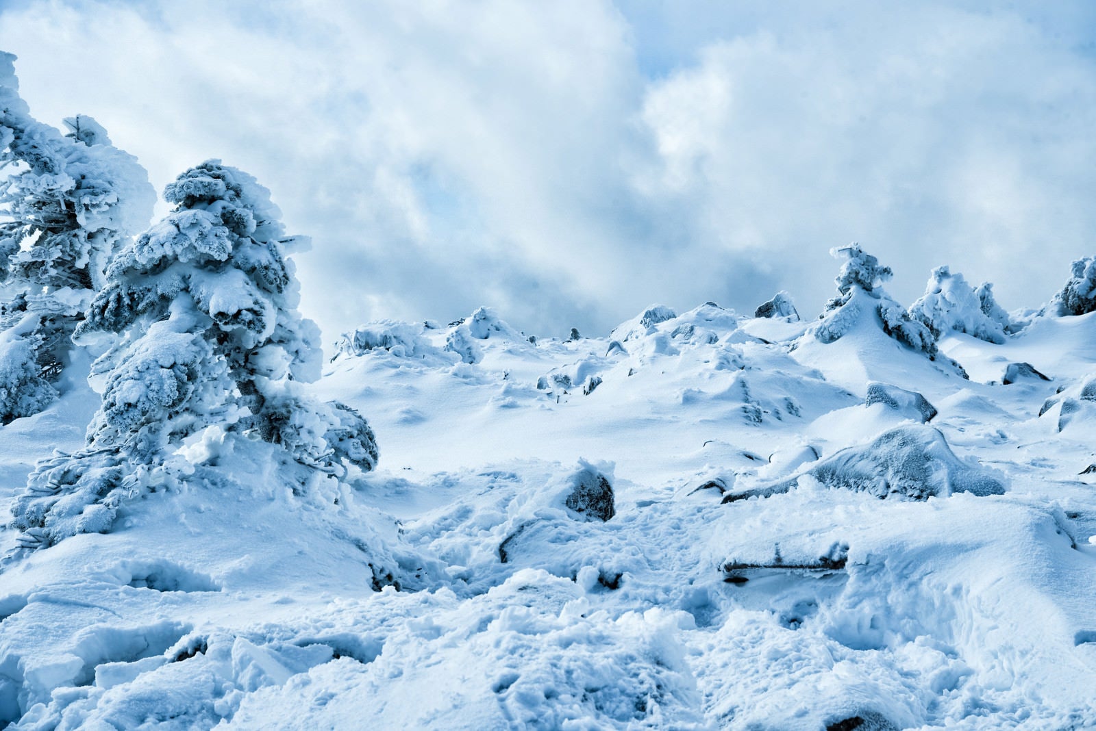 「積雪で埋まる樹氷と湧き上がる雲（中山峠展望台）」の写真