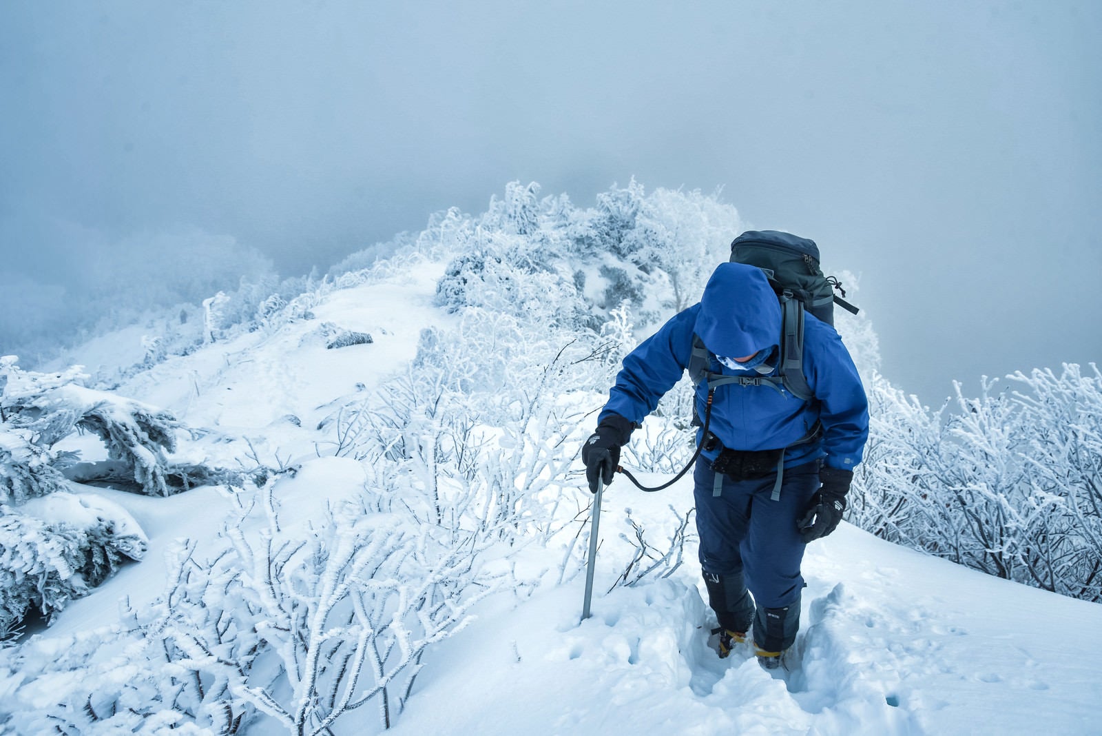 「雪深い登山道で山頂を目指す登山者」の写真