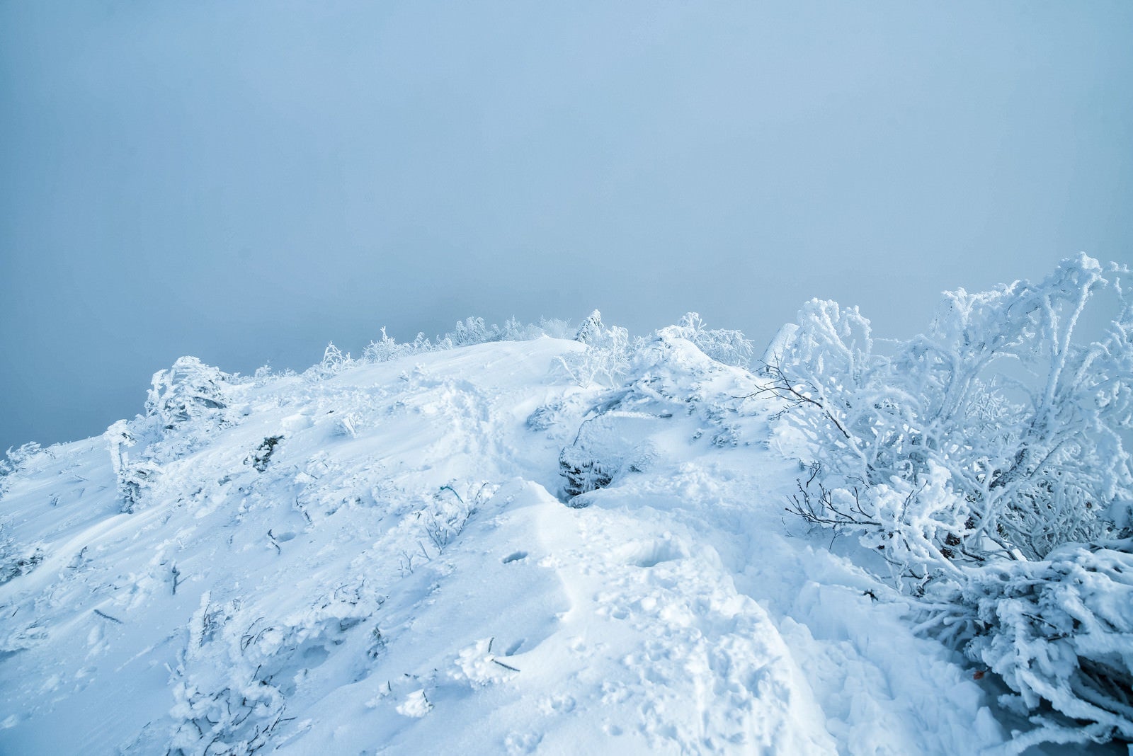 「積雪の登山道に残る足跡」の写真
