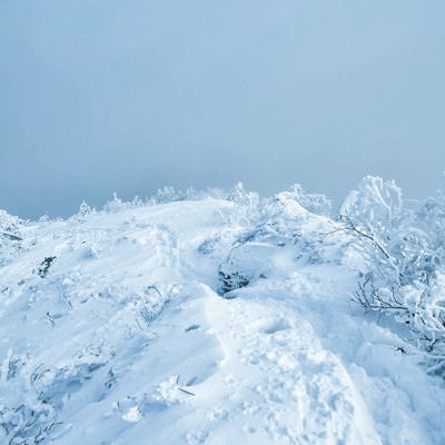 積雪の登山道に残る足跡の写真