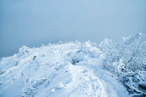 積雪の登山道に残る足跡の写真