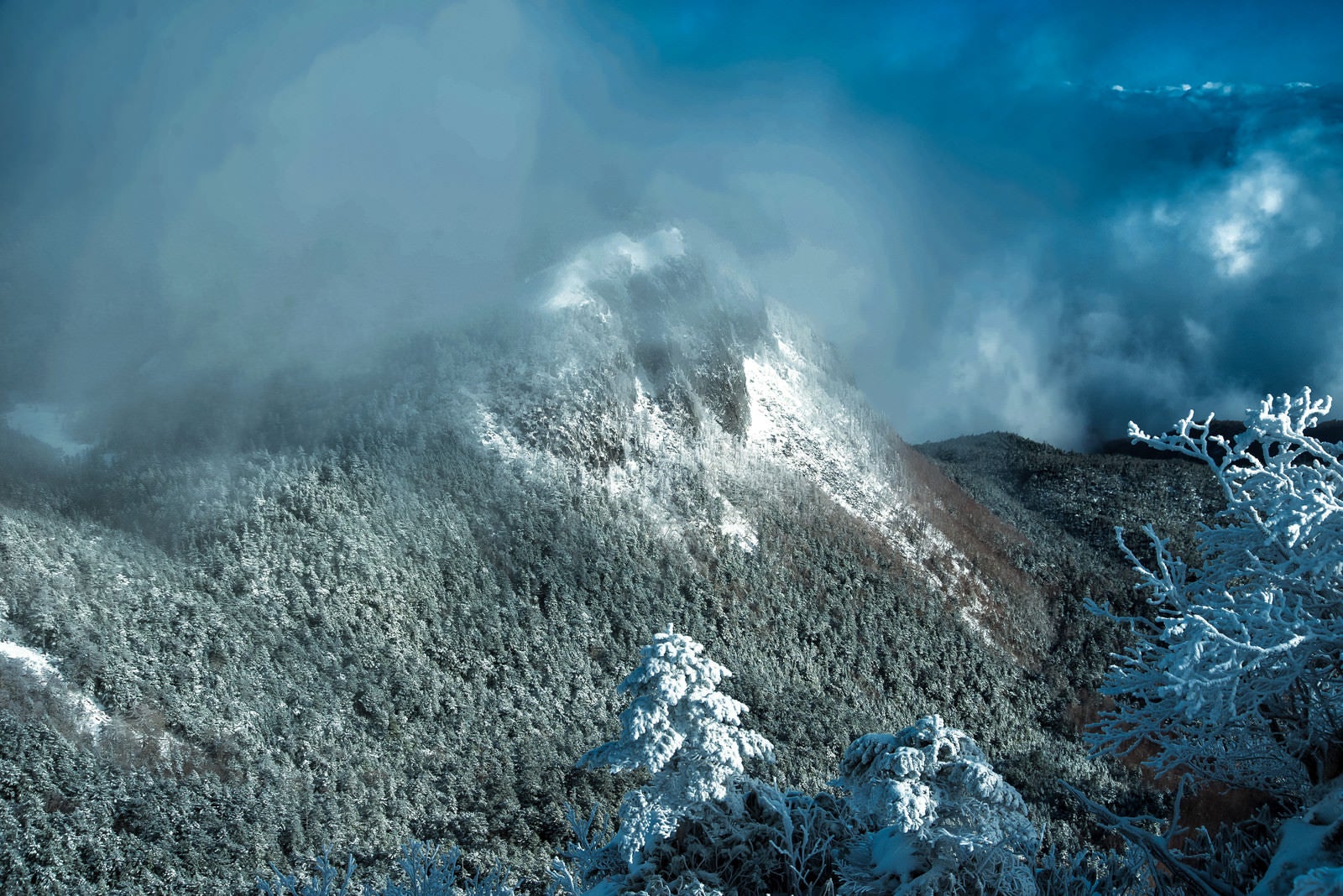 「霧に包まれる稲子岳（長野県）」の写真
