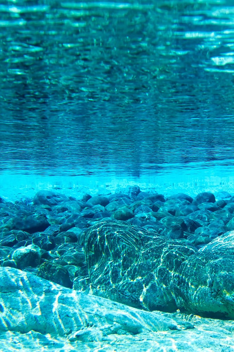水中からの岩場の写真