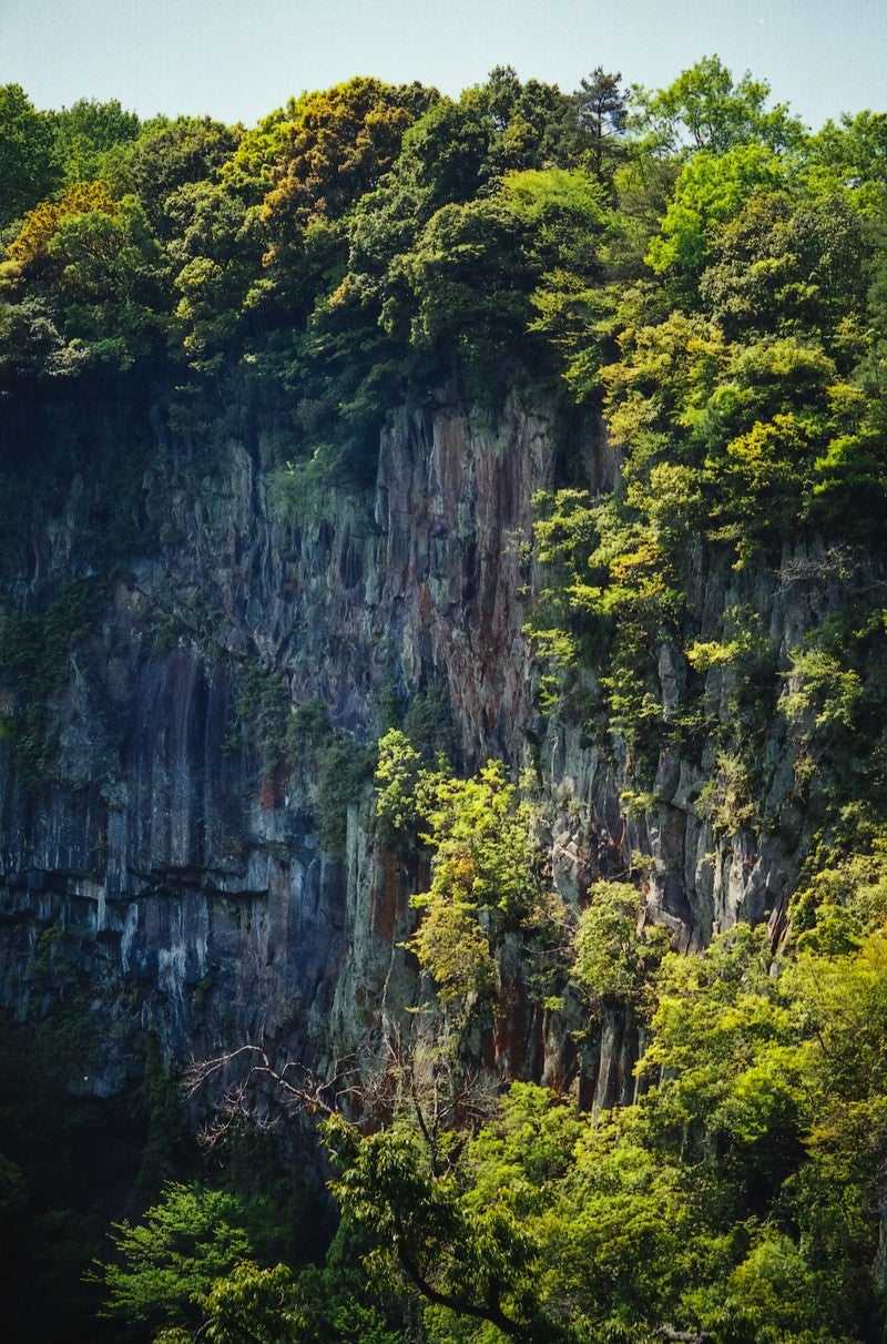 「切り立った断崖と木」の写真