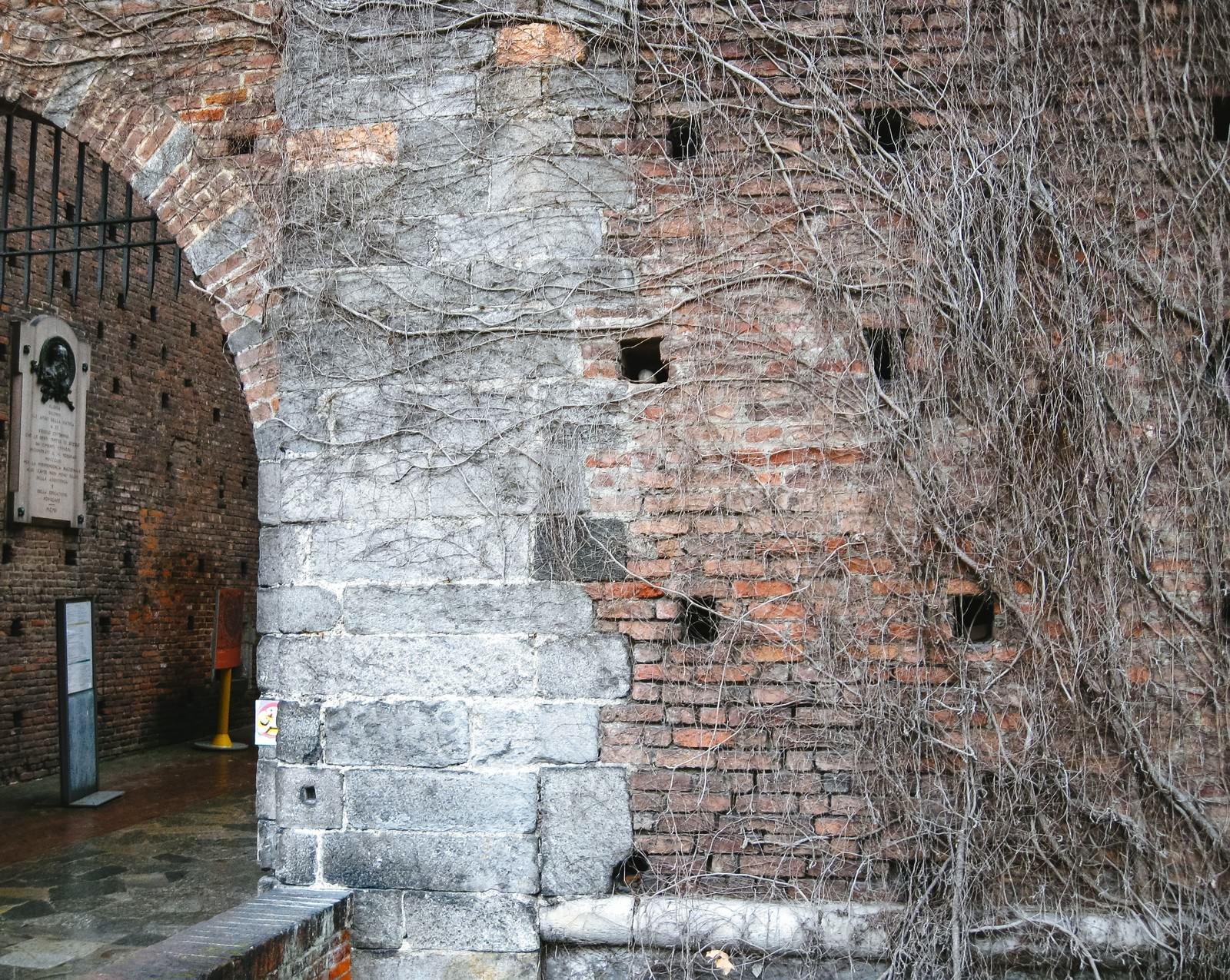 「蔦の這うレンガ造りの城門（スフォルツェスコ城）」の写真