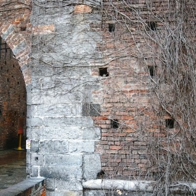 蔦の這うレンガ造りの城門（スフォルツェスコ城）の写真