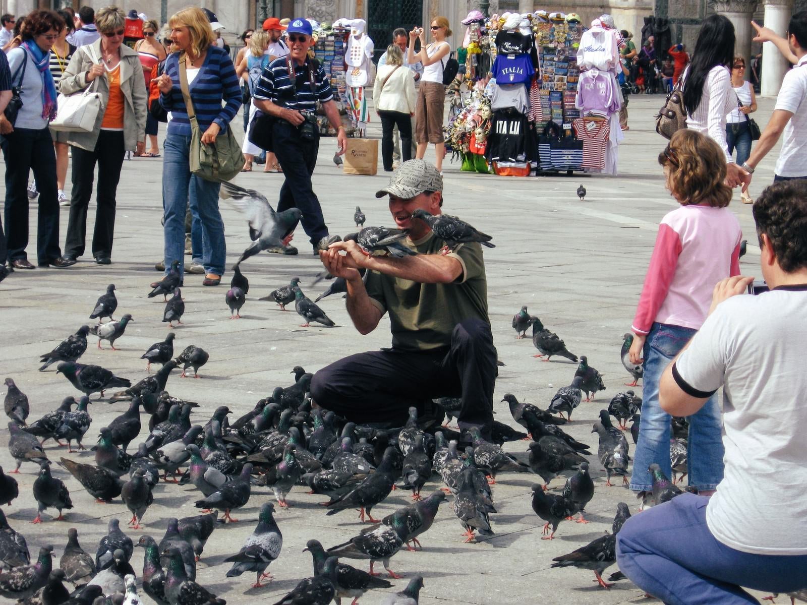 「サン マルコ広場で鳩に餌を与える人と観光客（イタリア）」の写真