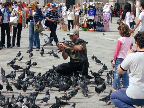 サン マルコ広場で鳩に餌を与える人と観光客（イタリア）の写真