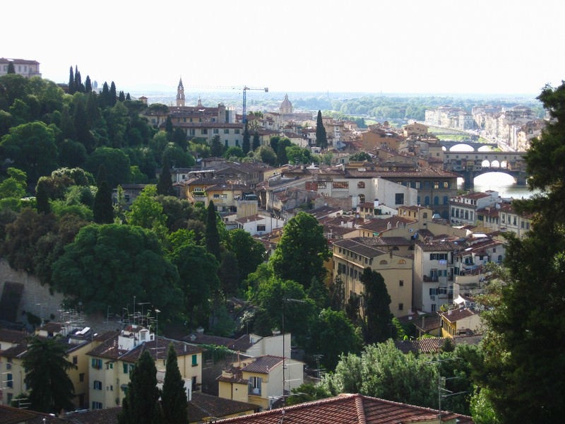 自然に囲まれたフィレンツェの街並み（イタリア）の写真