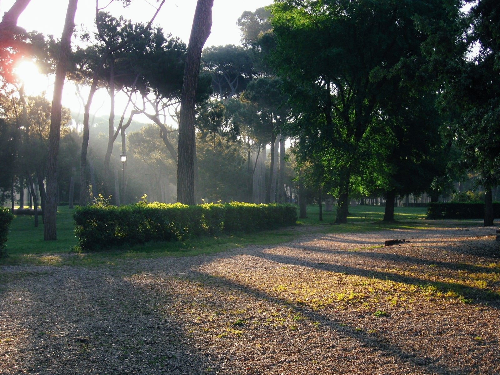 「ローマのボルゲーゼ公園（イタリア）」の写真