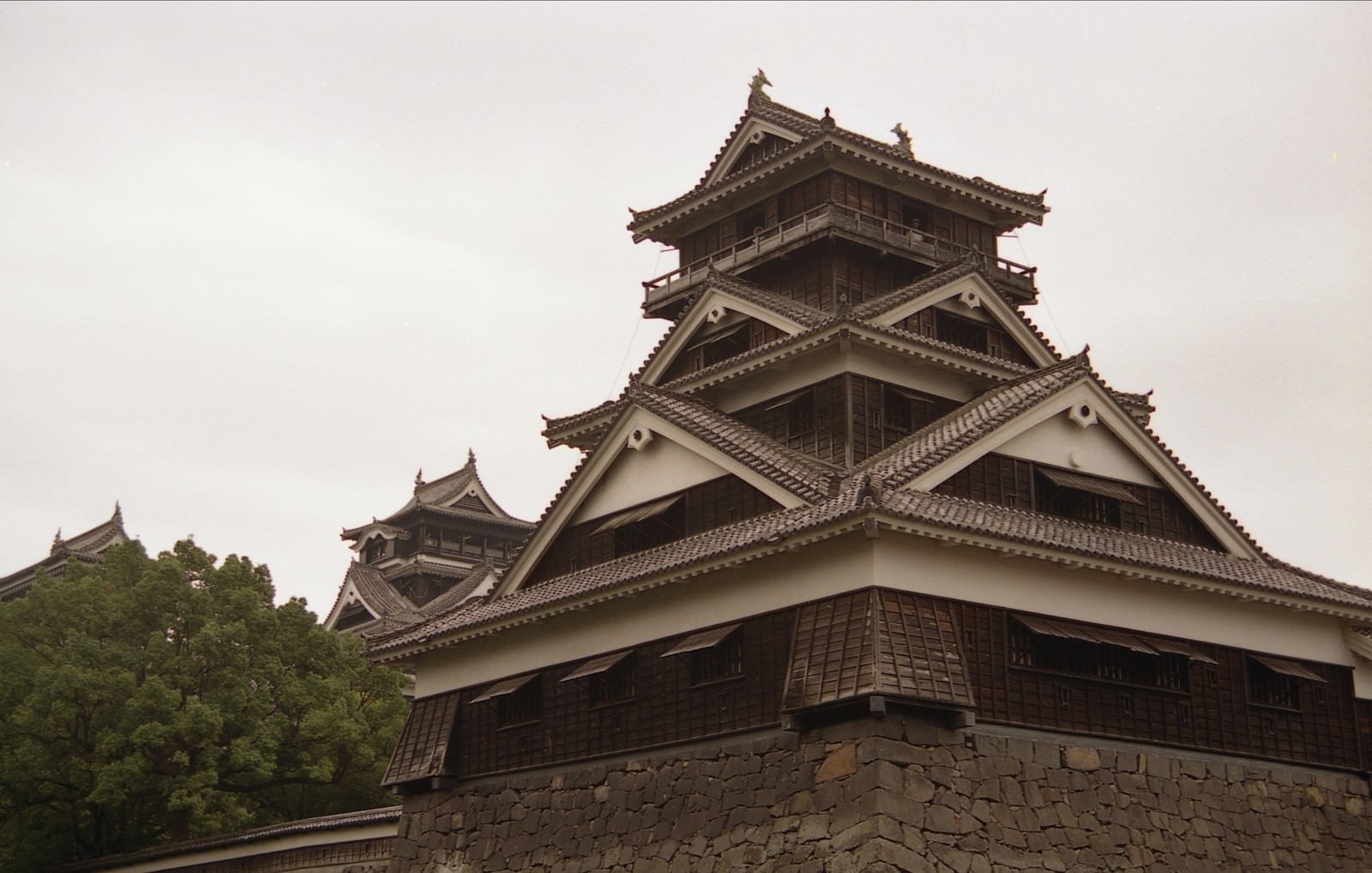 「歴史を感じる熊本城（別名、銀杏城）」の写真