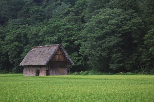 田んぼの中の家の写真
