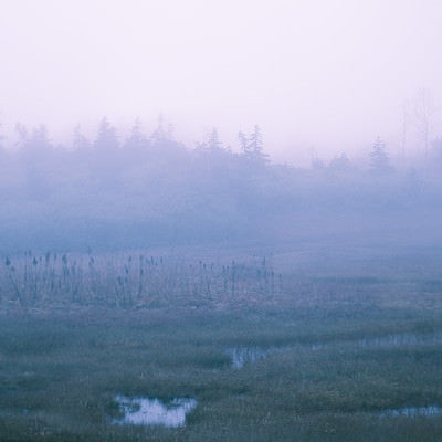 霧のかかった自然風景の写真