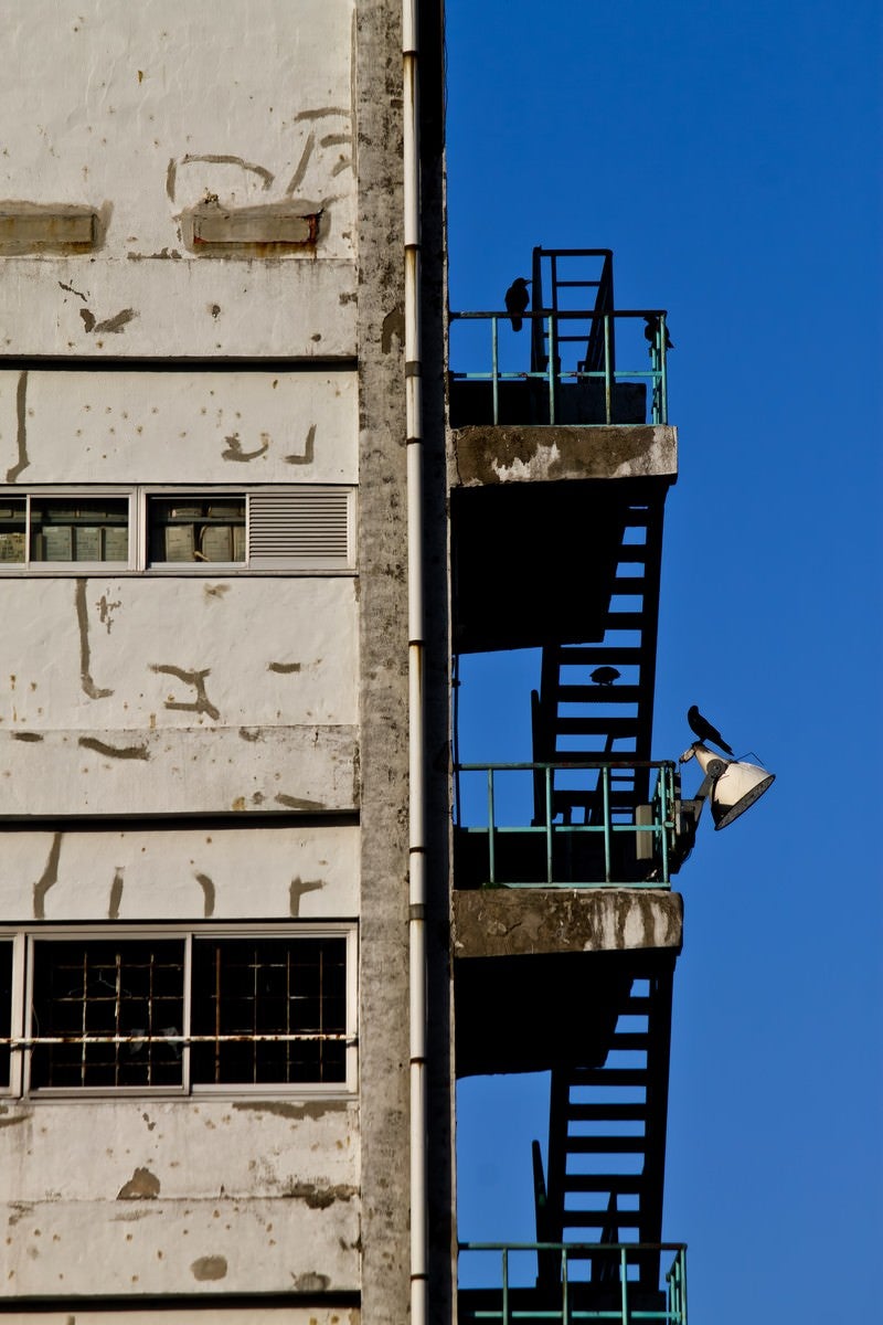 「古びたマンションと階段のカラス」の写真