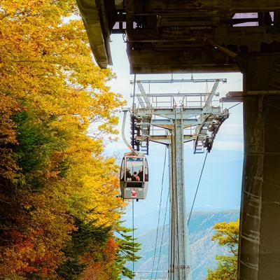 秋の山間を走るロープウェーのゴンドラの写真