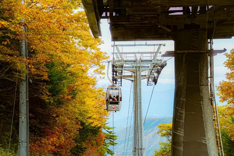 Cable Car Through the Autumn Forest