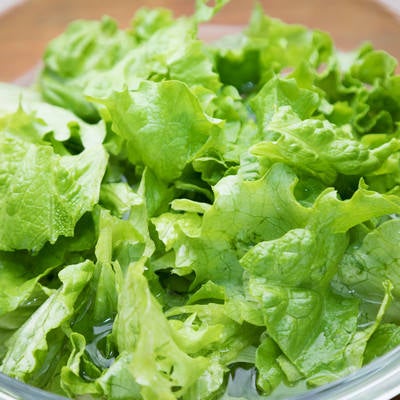 サラダ用のグリーンレタスの写真