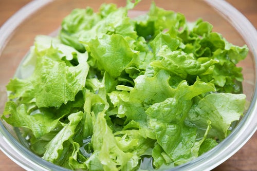 サラダ用のグリーンレタスの写真